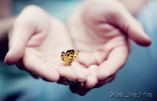 文字:让我们在最美的年华彼此遇见 (5)