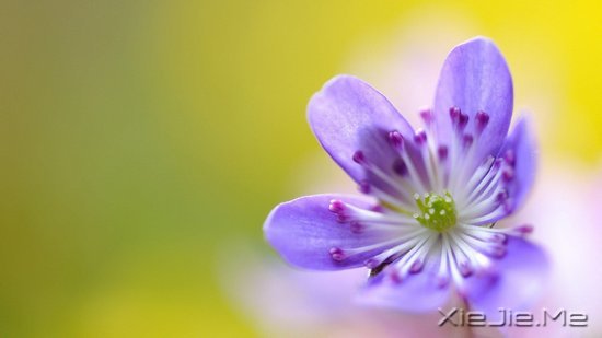 文字:要少做的十件事 (1)