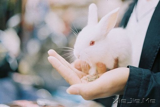 我的朋友很多,可是就算少一个,我还是会舍不得