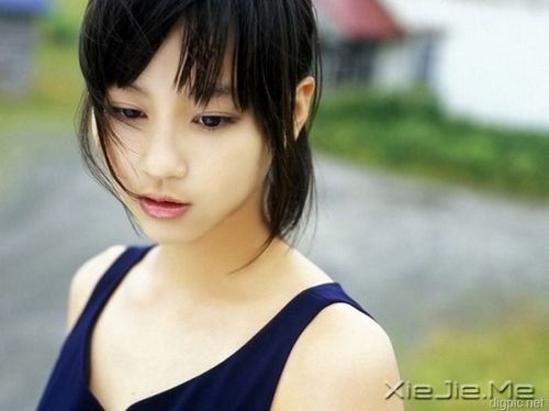 半个人,不需要两个人的阳光 (1)