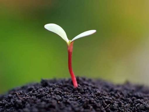 我和这个世界不熟 (7)