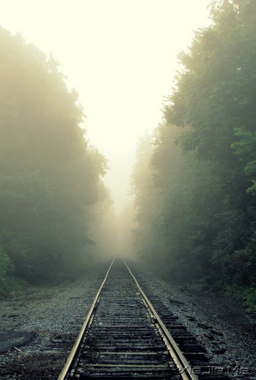 文字:我们停下脚步,只为走得更远 (5)