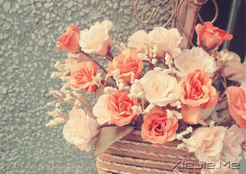 人生,是踏上了就回不了头的征途